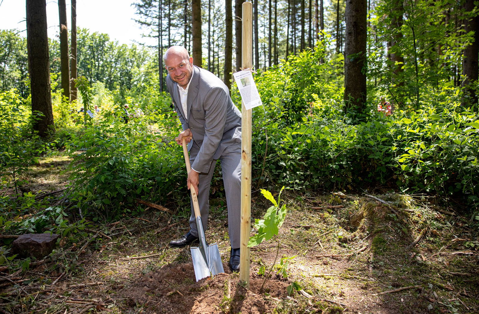 Gepflanzt werden verschiedene Bäume des Jahres.