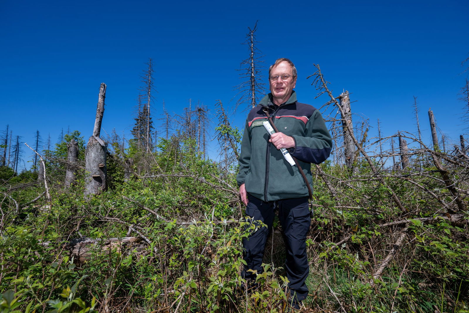 Im Nationalpark lässt man der Natur freien Lauf.
