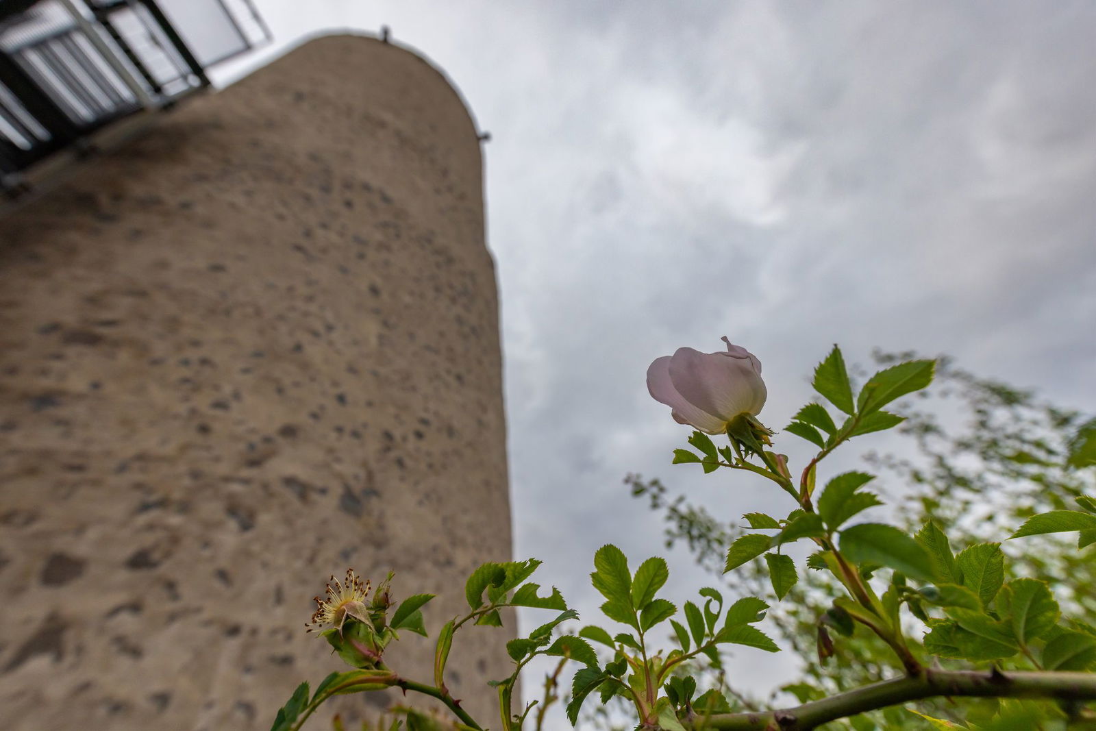 Der Himmel bleibt in den nächsten Tagen weitgehend bewölkt. (Symbolbild)