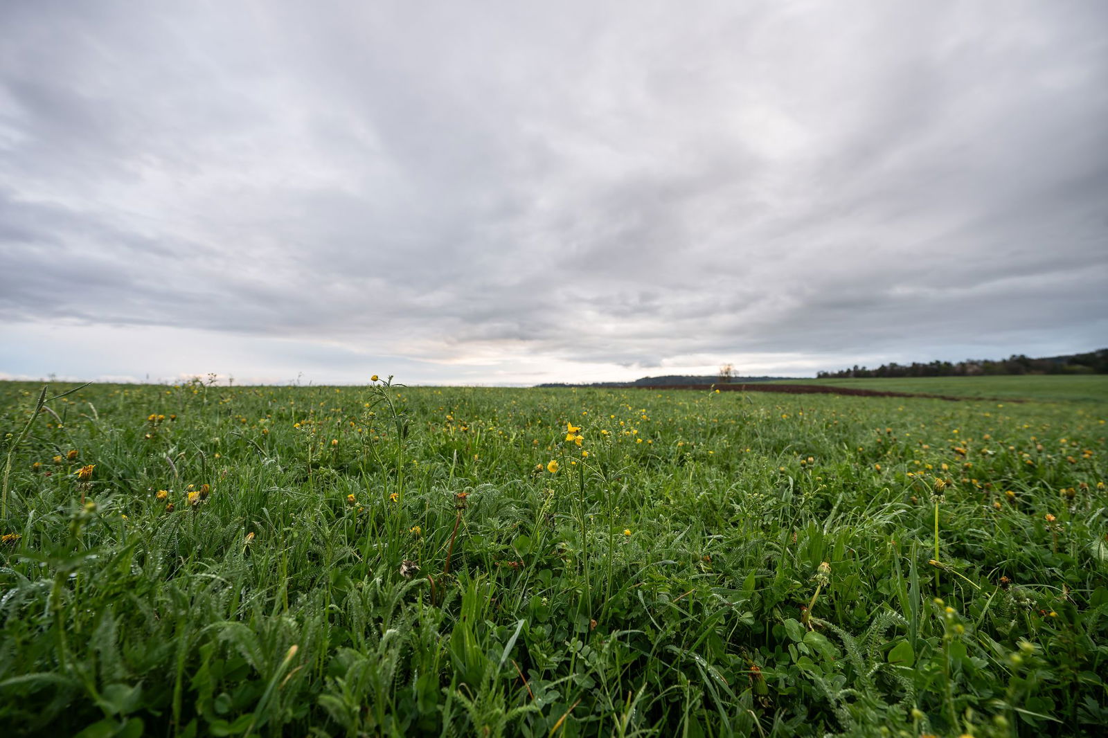 Kurz vor dem Wochenende gibt die Sonne noch einmal richtig Gas, dann folgt die Abkühlung. (Symbolbild)