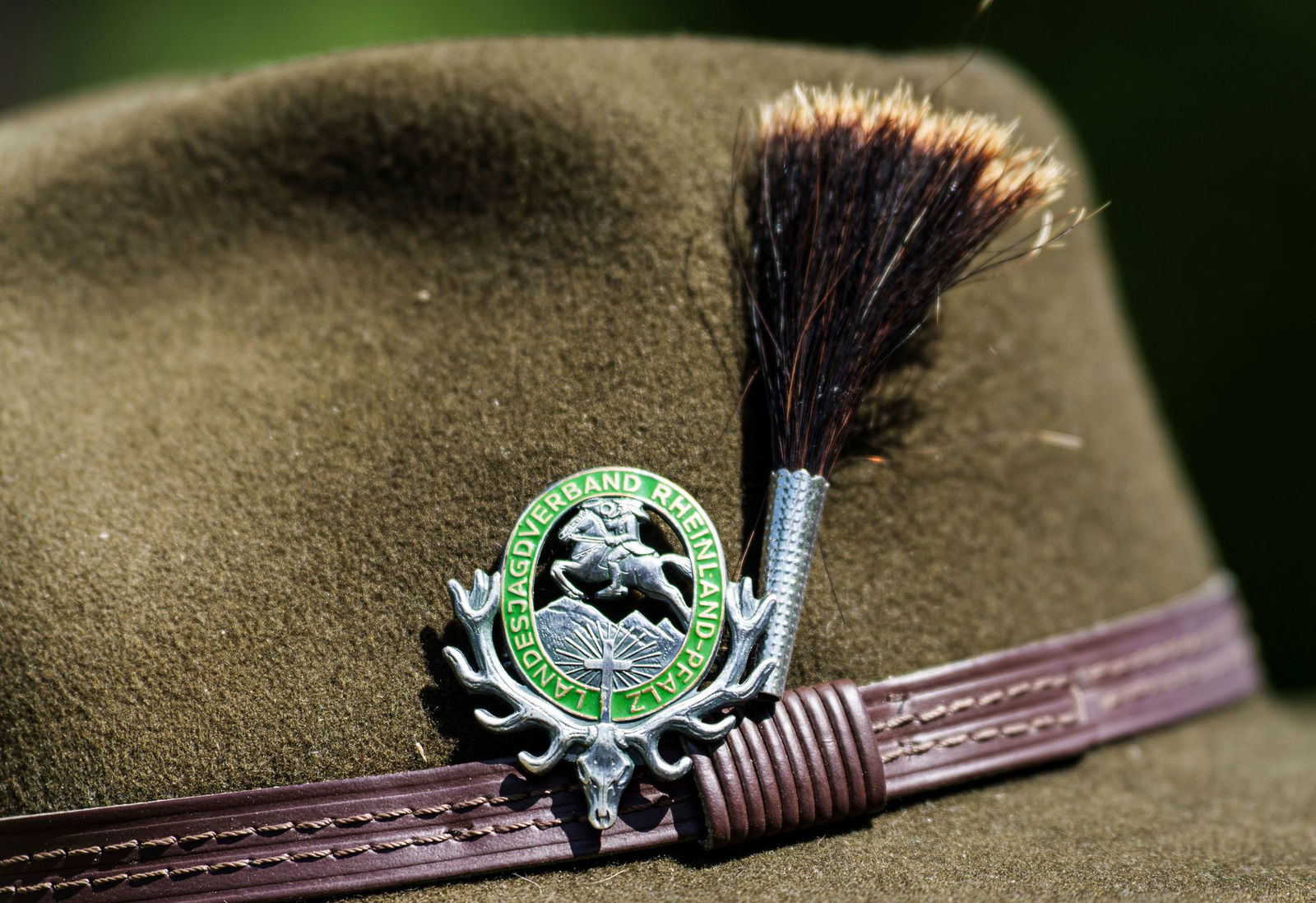 Der Landesjagdverband macht gegen das Jagdgesetz mobil.