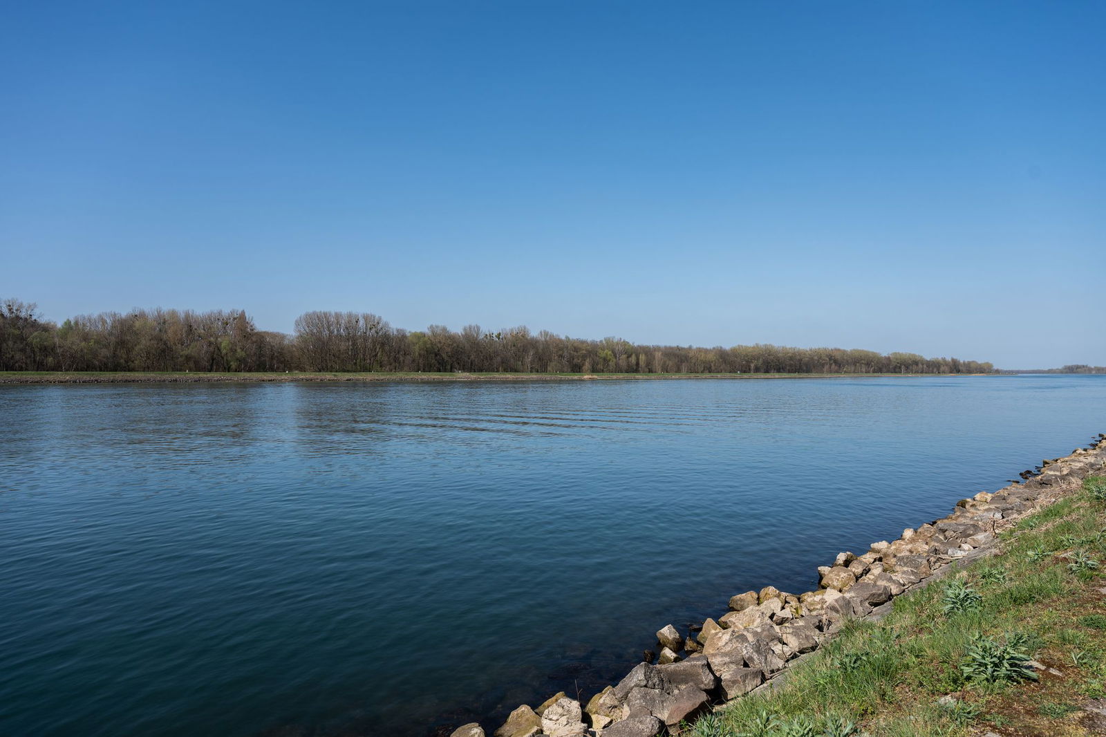 Ewigkeitschemikalie Trifluoracetat (TFA) verbreitet sich laut Wasserwerken weiter im Rhein. 