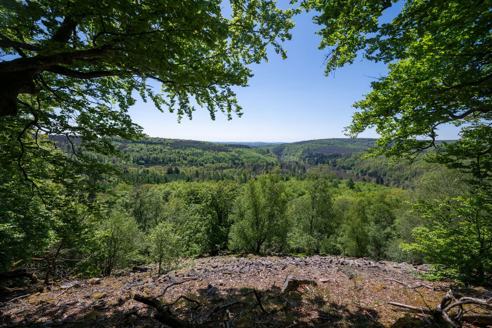 Die schönen Ausblicke im Nationalpark ziehen die Besucher an.