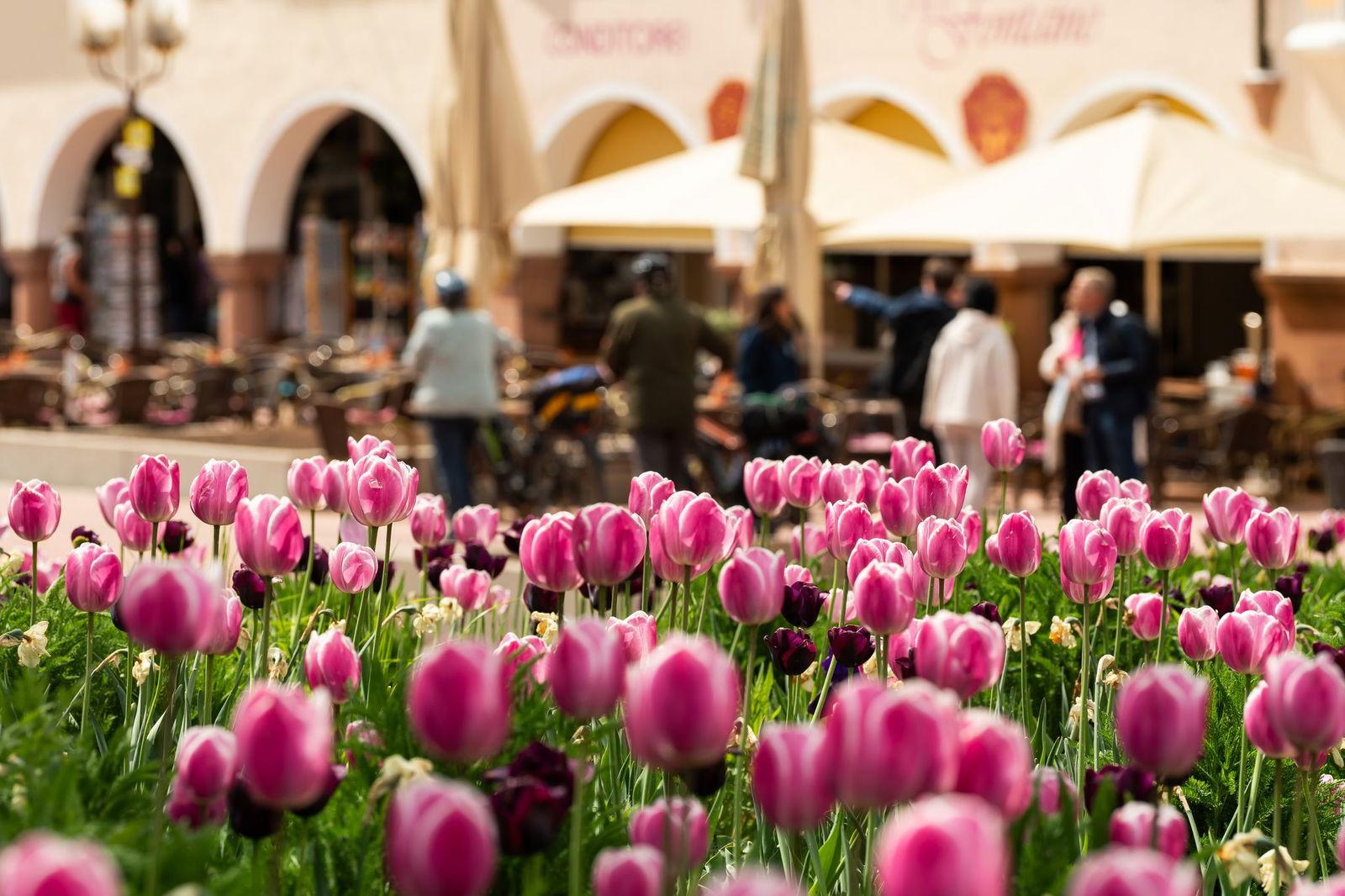 Die Gartenschau öffnet demnächst ihre Tore.