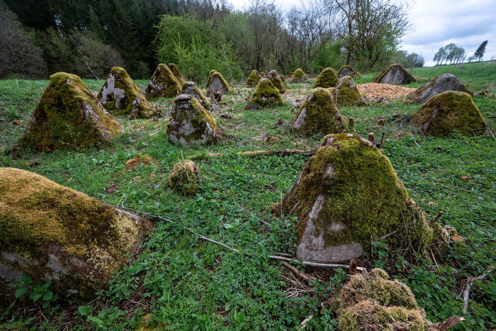 Der Westwall ist auch unter dem Namen «Siegfried- Linie» bekannt.