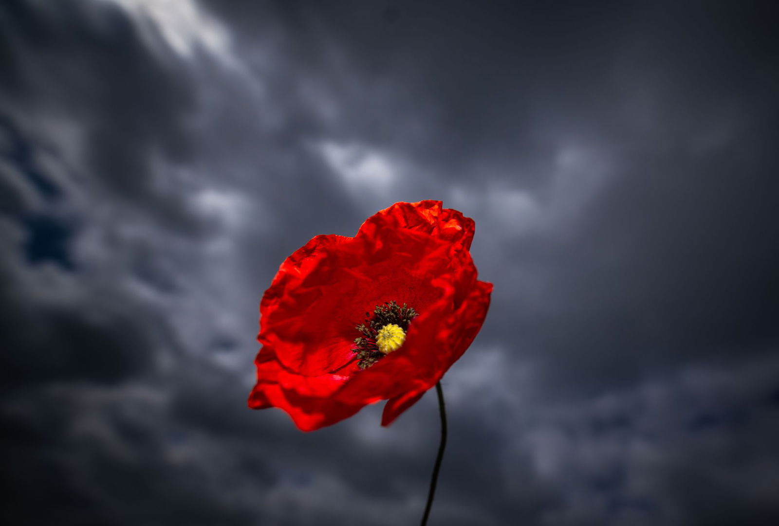 In Rheinland-Pfalz und Saarland macht das warme Frühlingswetter eine Pause. (Symbolbild)