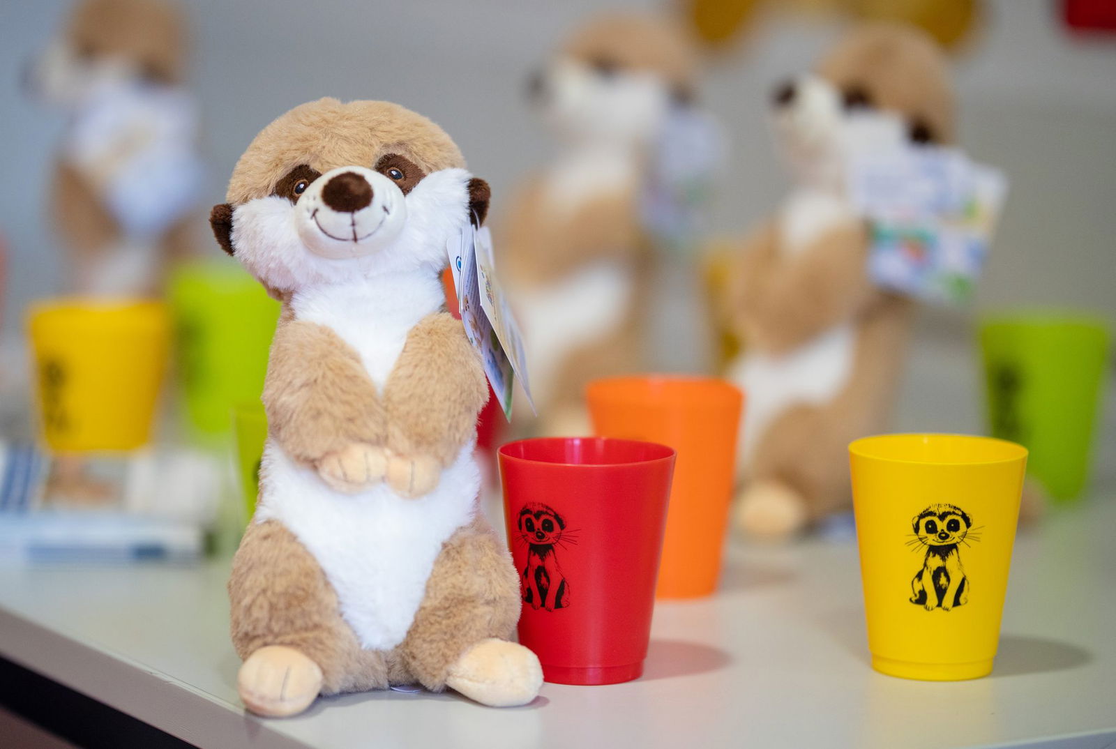 Ein Gefängnismaskottchen namens Toni. (Archivbild)