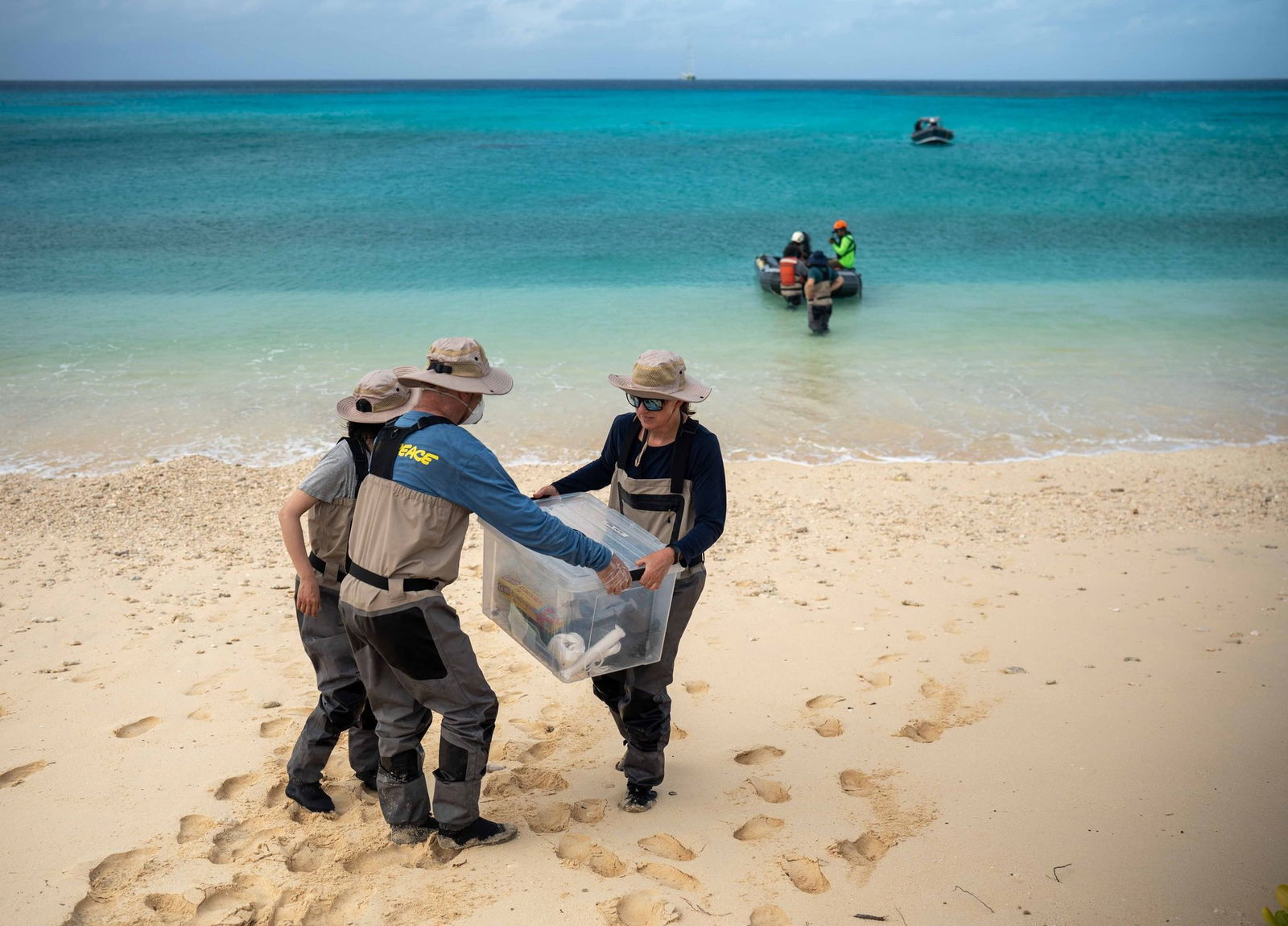 Greenpeace hatte die neue Studie in Auftrag gegeben.