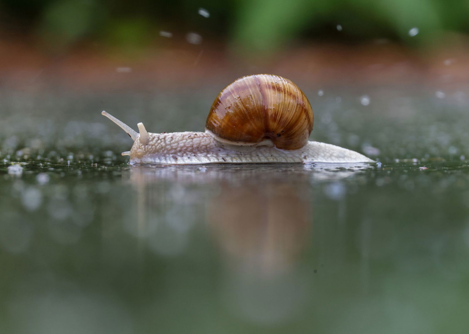 Regen und Wolken bestimmen das Wetter zum Wochenstart.