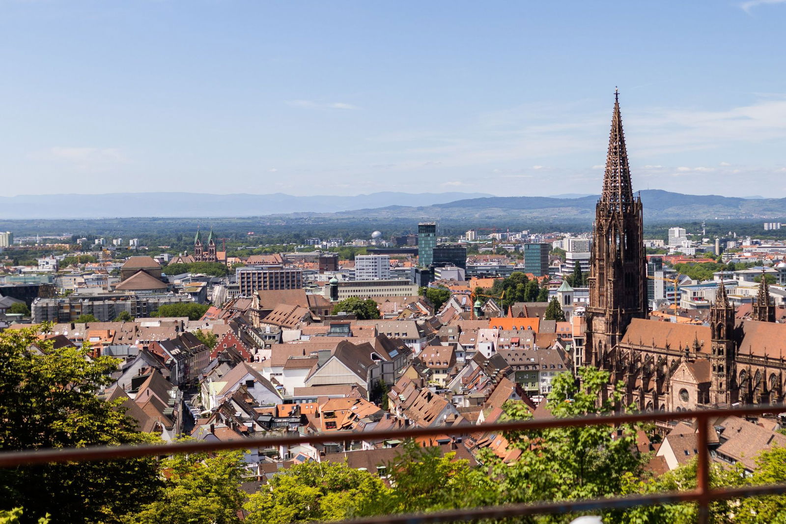 Die Polizei ermittelt wegen des Verdachts der fahrlässigen Körperverletzung gegen den Hundehalter (Archivbild)