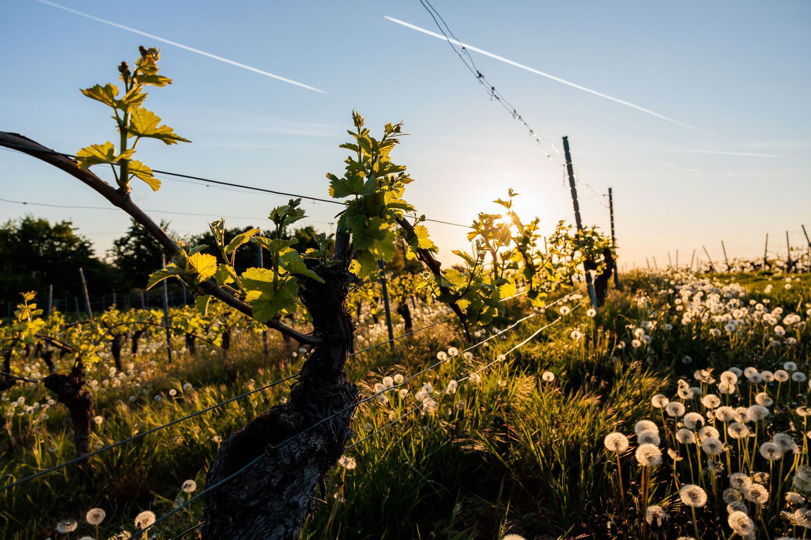 Am Freitag unbedingt noch mal raus.