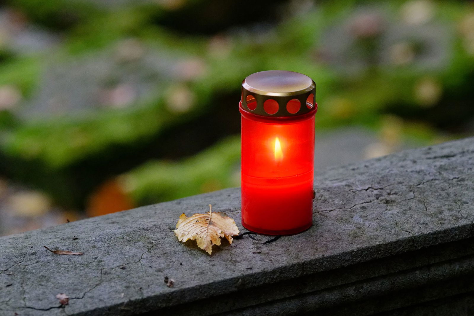 Der Landtag debattiert in erster Lesung kontroves über ein neues Bestattungsrecht in Rheinland-Pfalz . (Symbolbild)