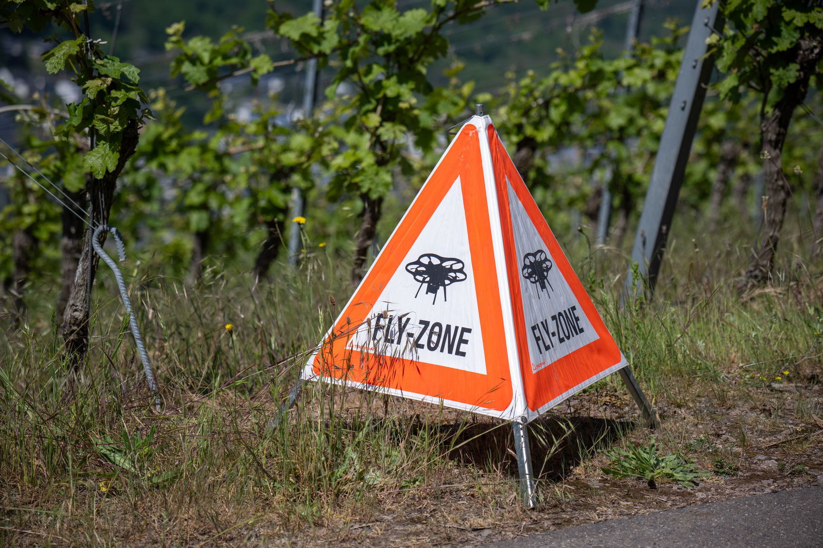 An der Mosel gibt es 3.200 Hektar Steillagen