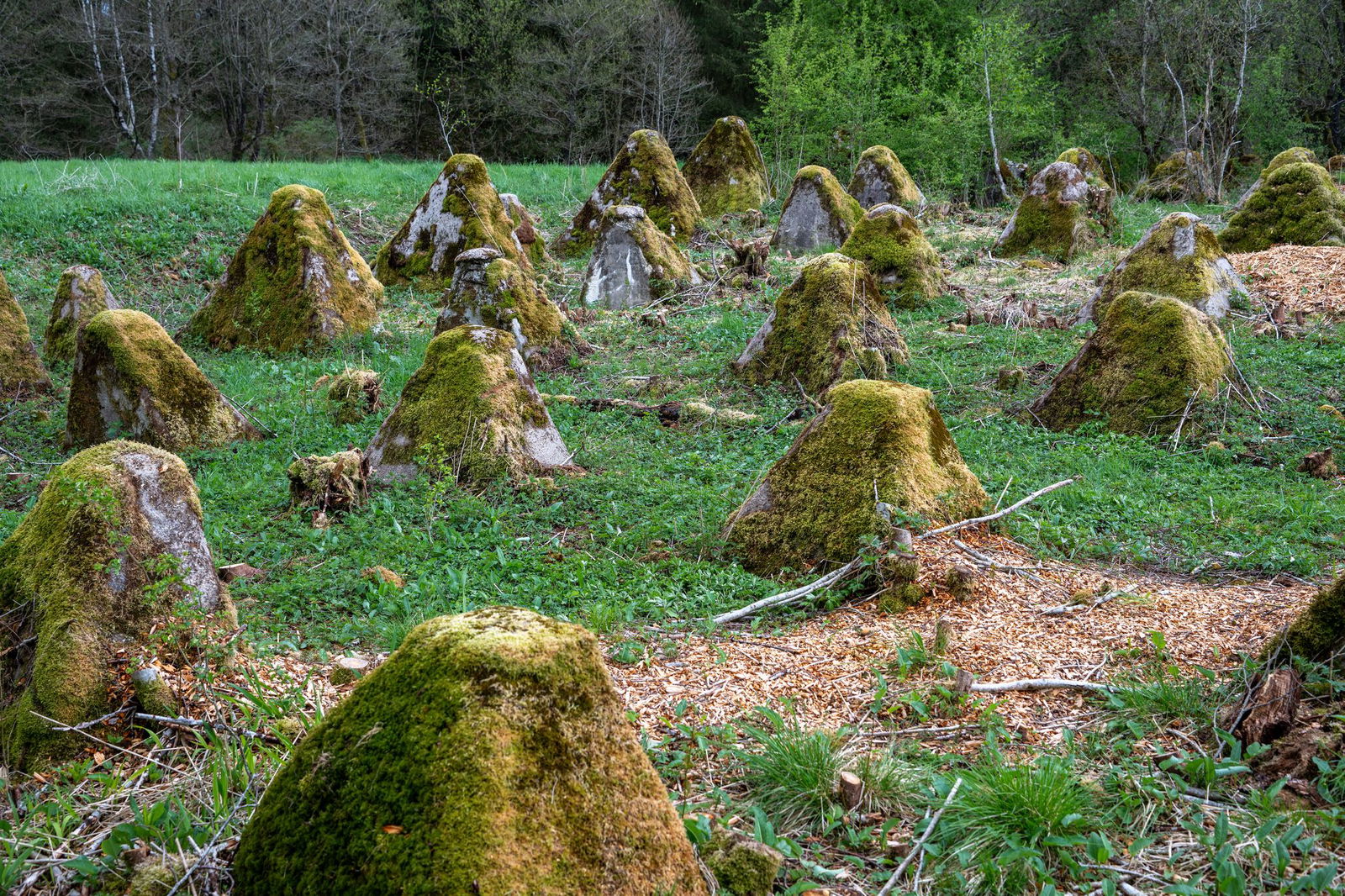 Der Westwall erstreckt sich in Rheinland-Pfalz über 200 Kilometer.