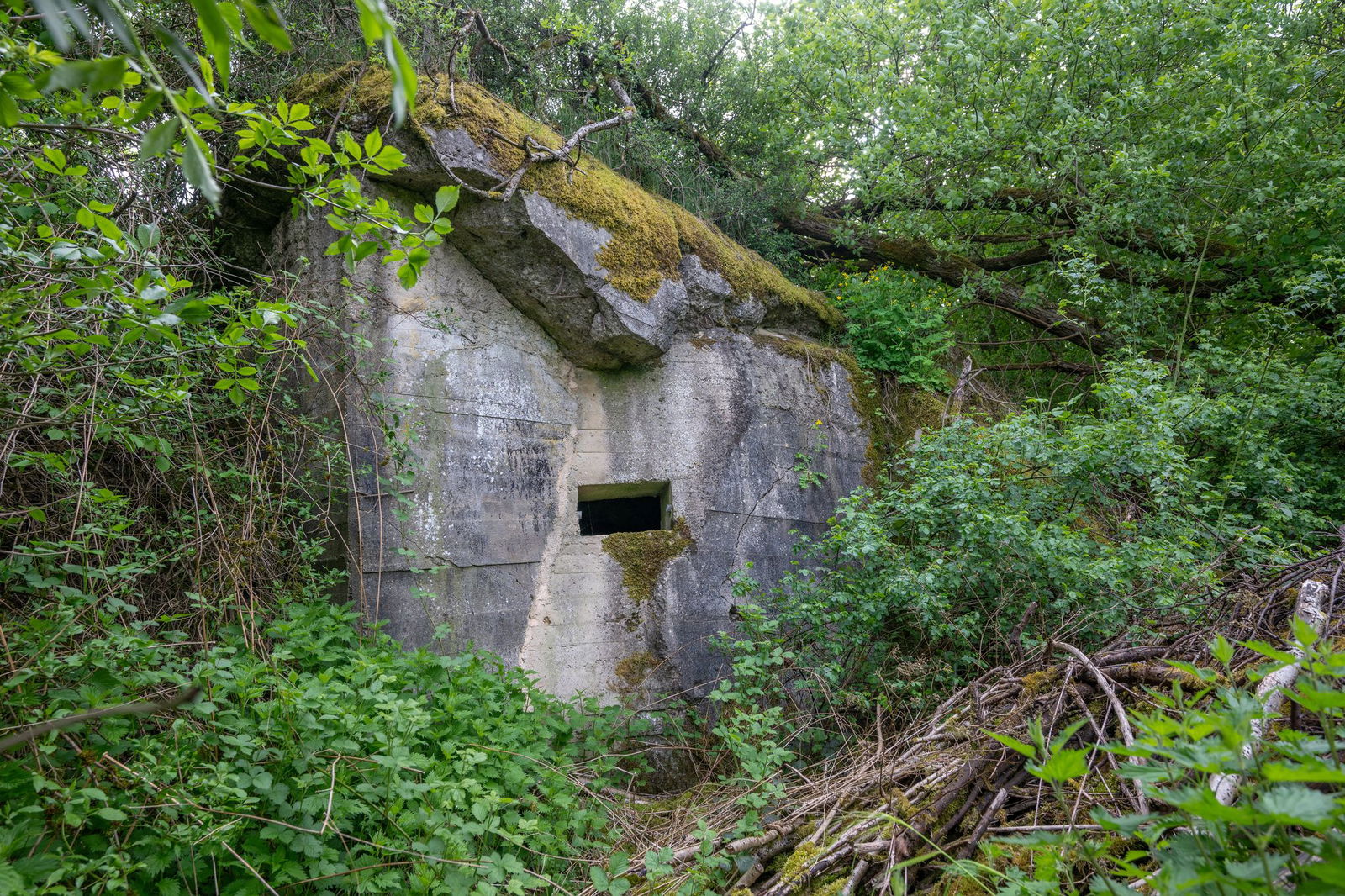 Der Westwall wurde von bis zu 600.000 Menschen gebaut.