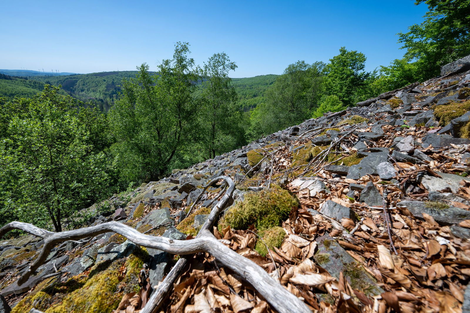 Die Rosselhalden machen rund sechs Prozent der Fläche im Nationalpark aus.