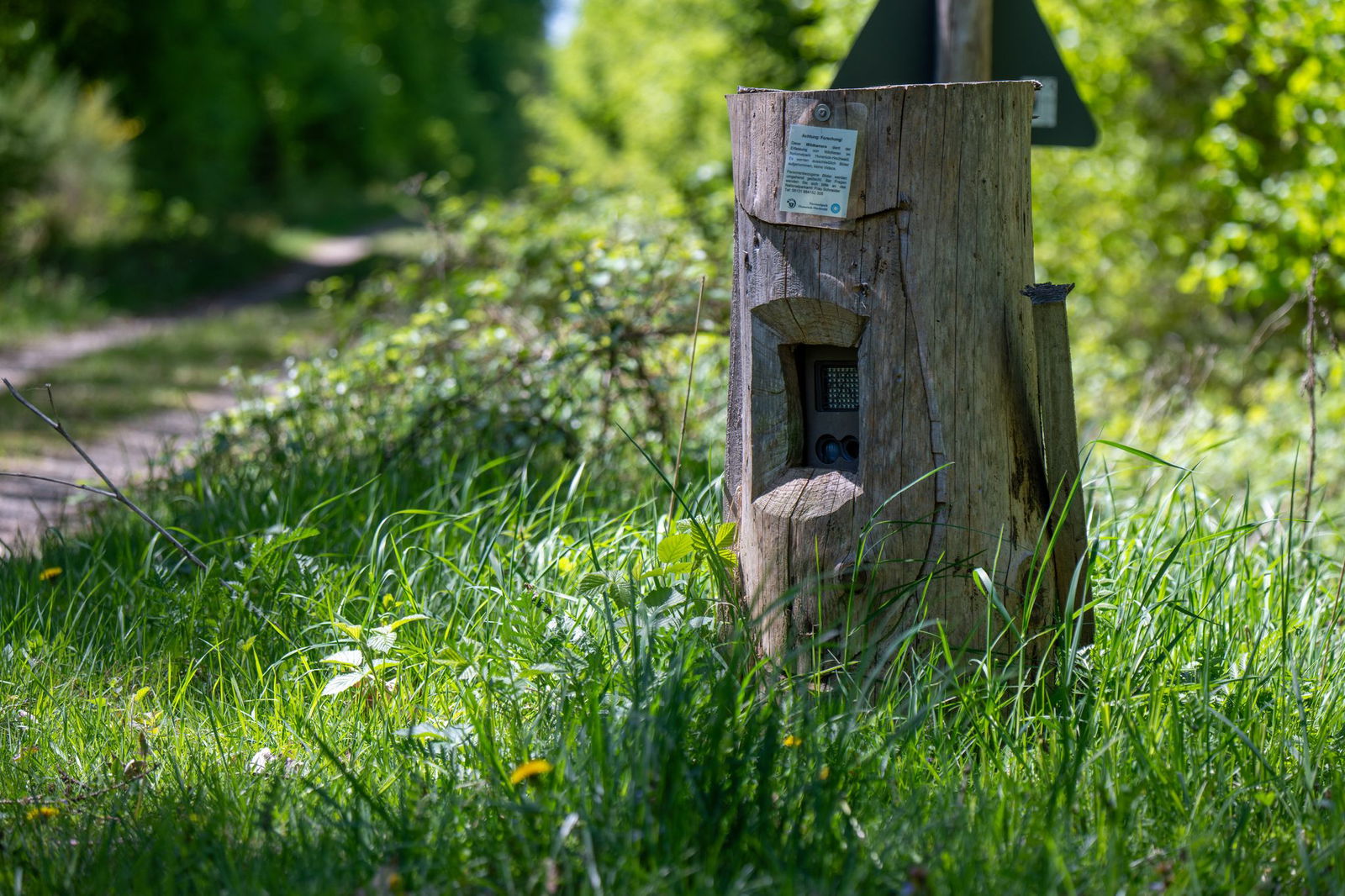 70 Fotofallen stehen im Park.