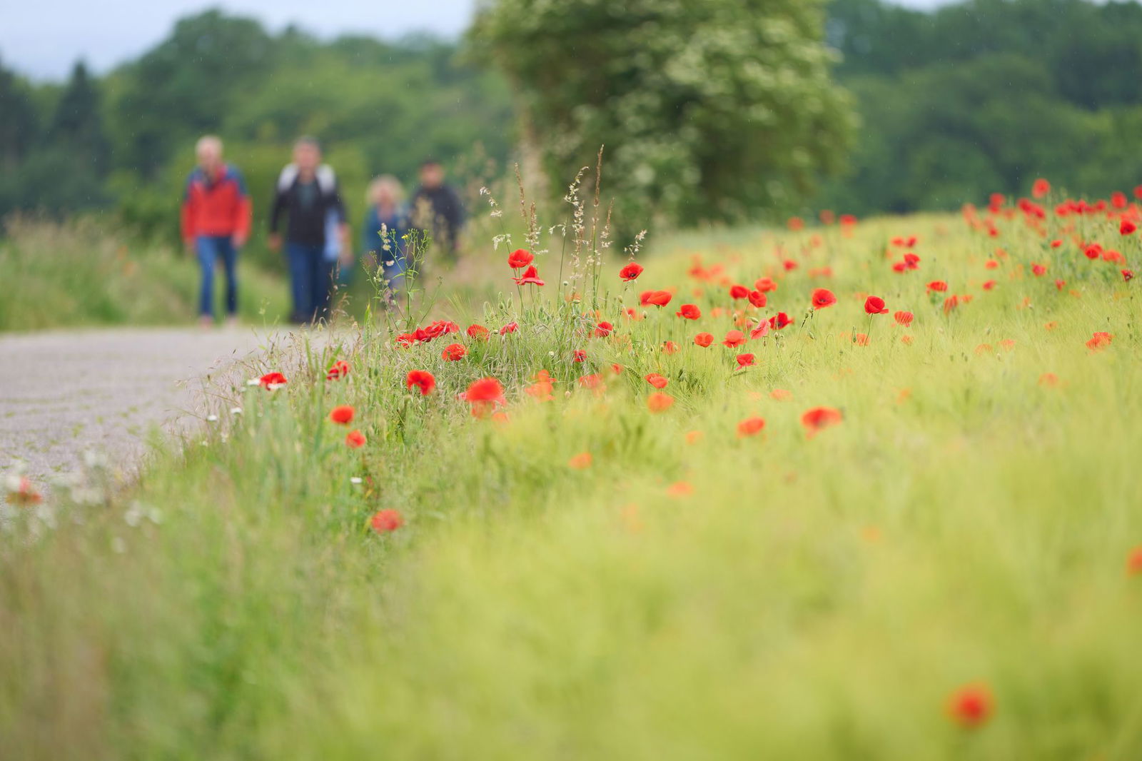 Das Wetter soll am Freitag sommerlicher werden. 