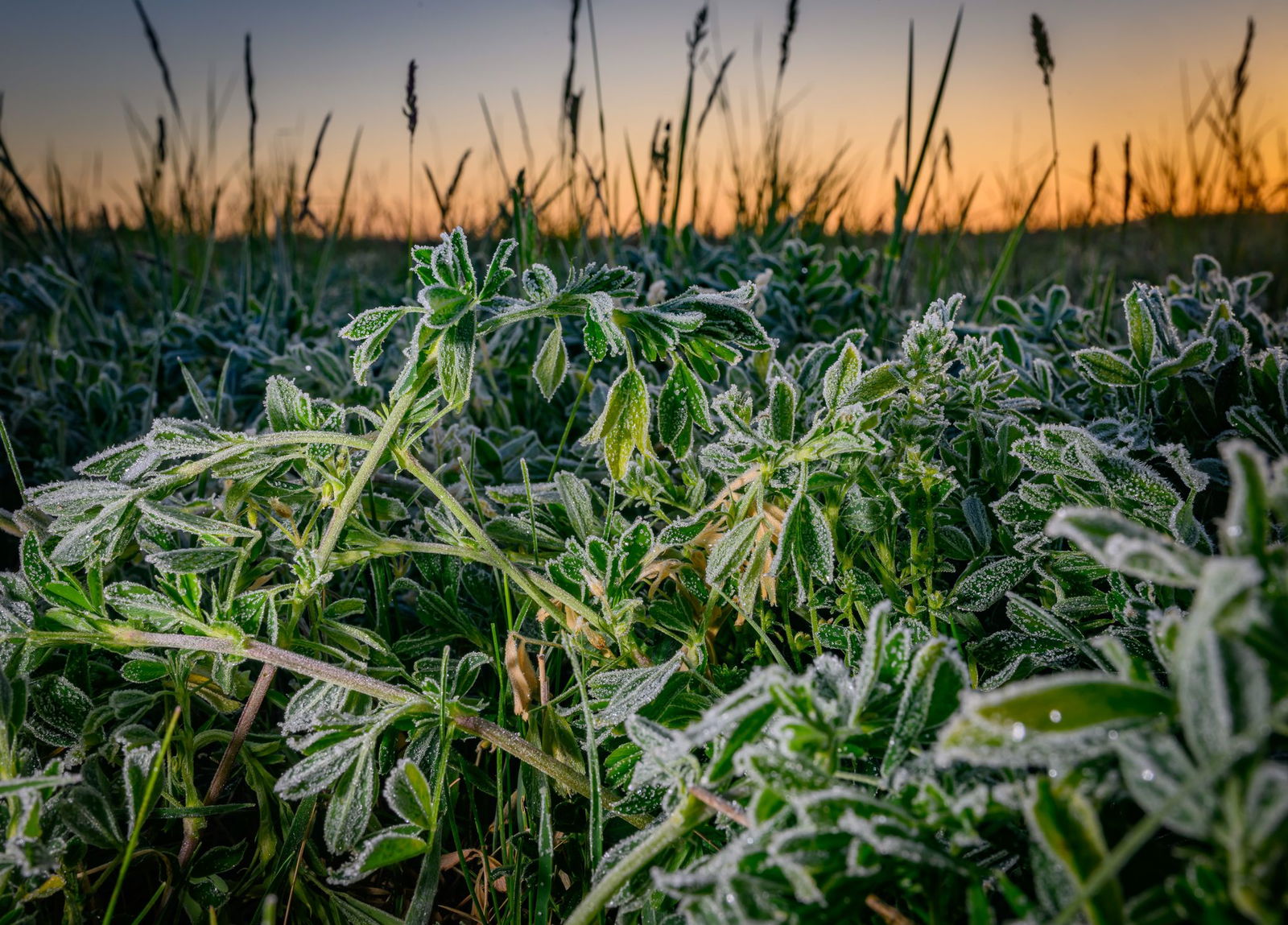 In den Nächten wird es bei um die Minus 1 Grad noch teils frostig kalt. (Archivbild)