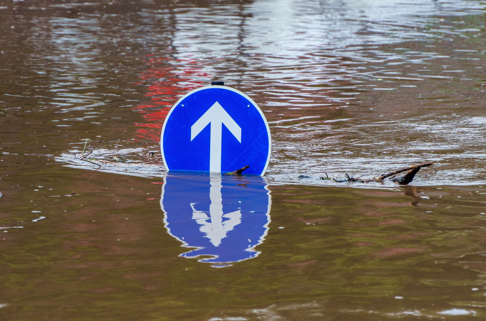 Am Oberrhein wurde und wird viel  Geld in den Hochwasserschutz gesteckt, damit solche Bilder möglichst der Vergangenheit angehören. (Archivfoto)