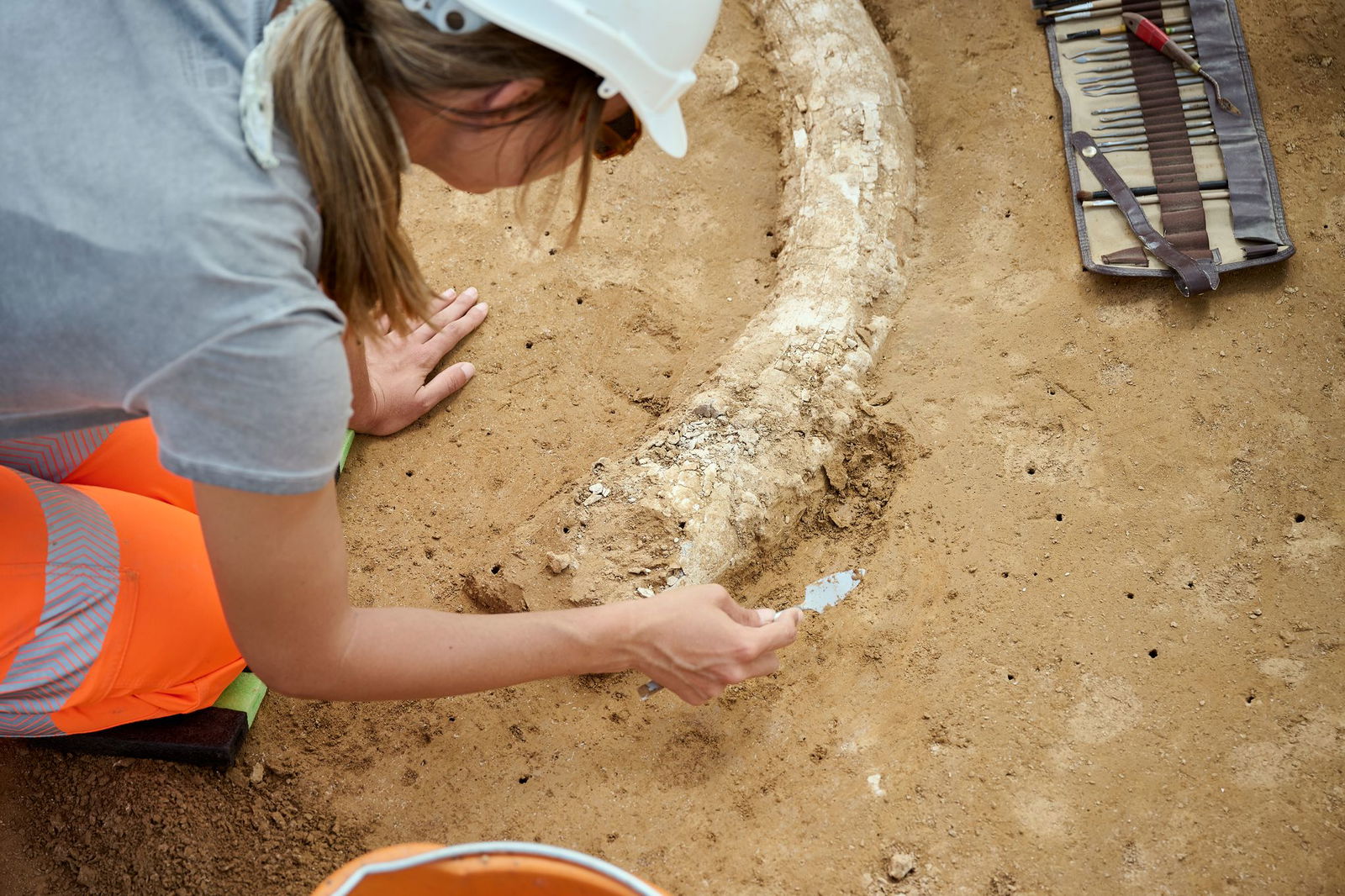 Der Fund stammt aus der Eiszeit und dürfte Experten zufolge mindestens 12.000 Jahre alt sein. 