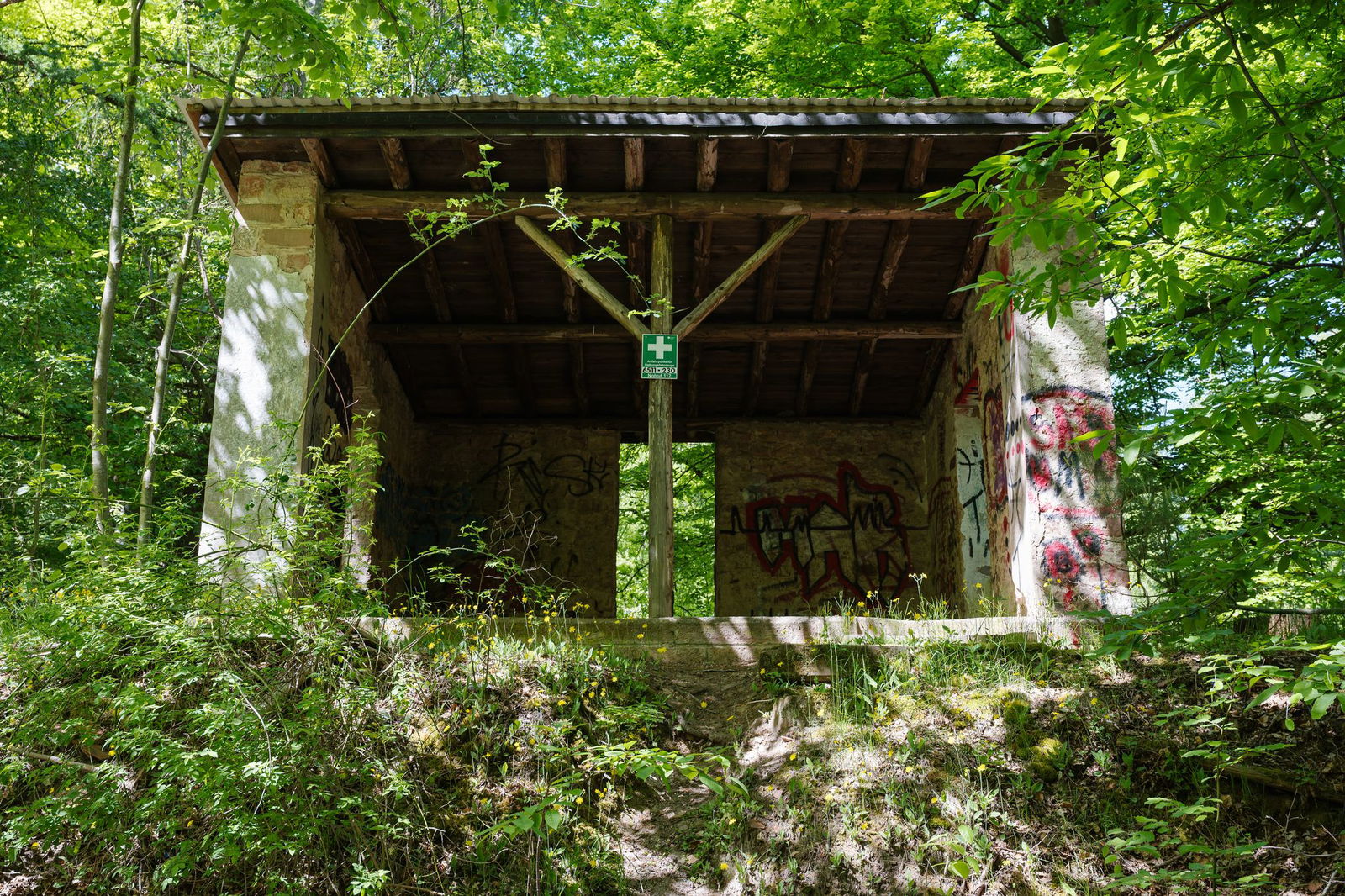 Die Folgen des Torfabbaus sind im Wald immer noch spürbar. 