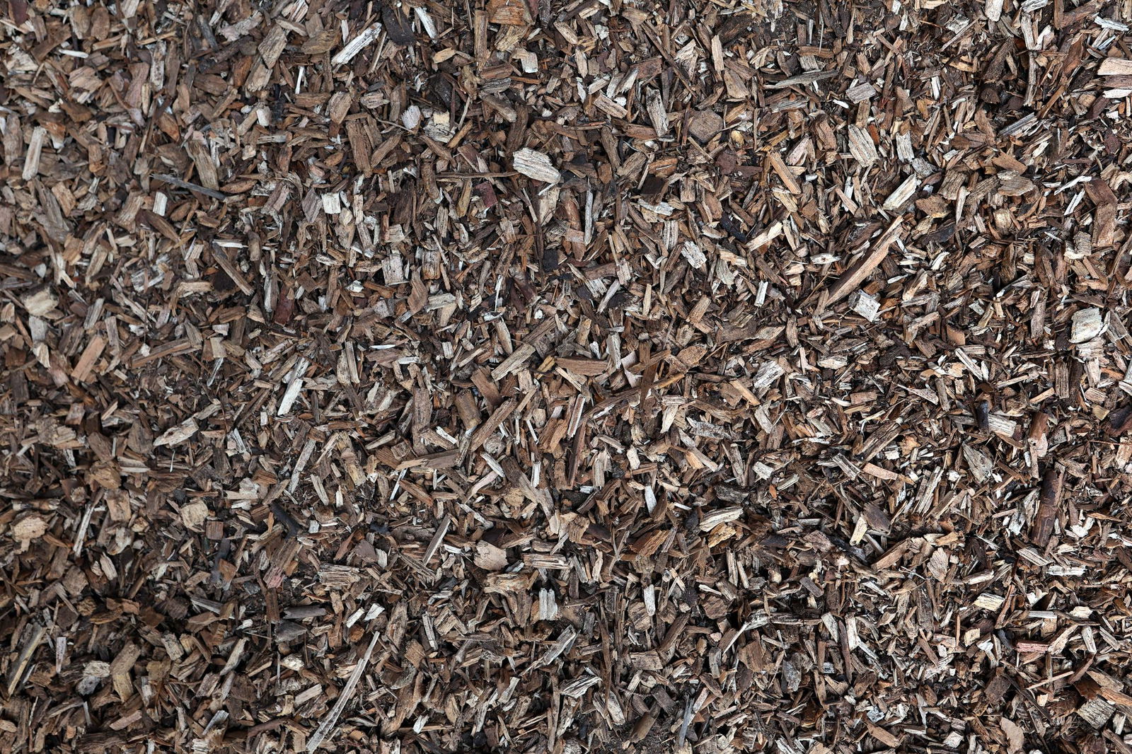 Mehrere Hundert Tonnen Holz brannten in Gusenburg. (Symbolbild)