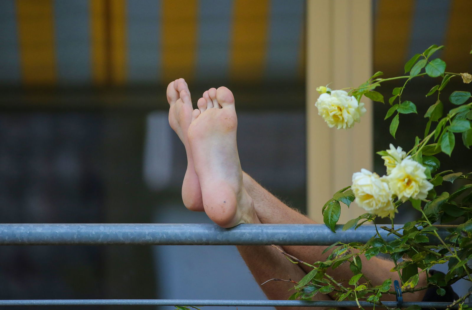 Als erste Hilfe bei hohen Temperaturen hilft vor allem das richtige Lüften. Zwischen Abend und frühem Morgen sollte man es tun – wenn die Luft draußen kühler ist als im Raum. (Symbolbild).