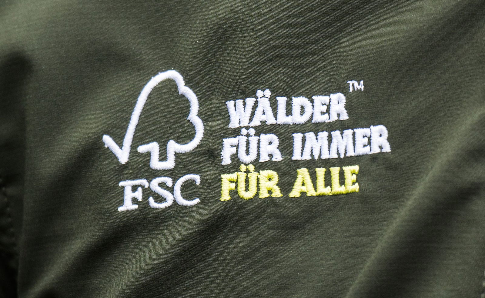 Mit dem FSC-Label werden Produkte aus geprüften Wäldern ausgezeichnet. (Symbolbild)