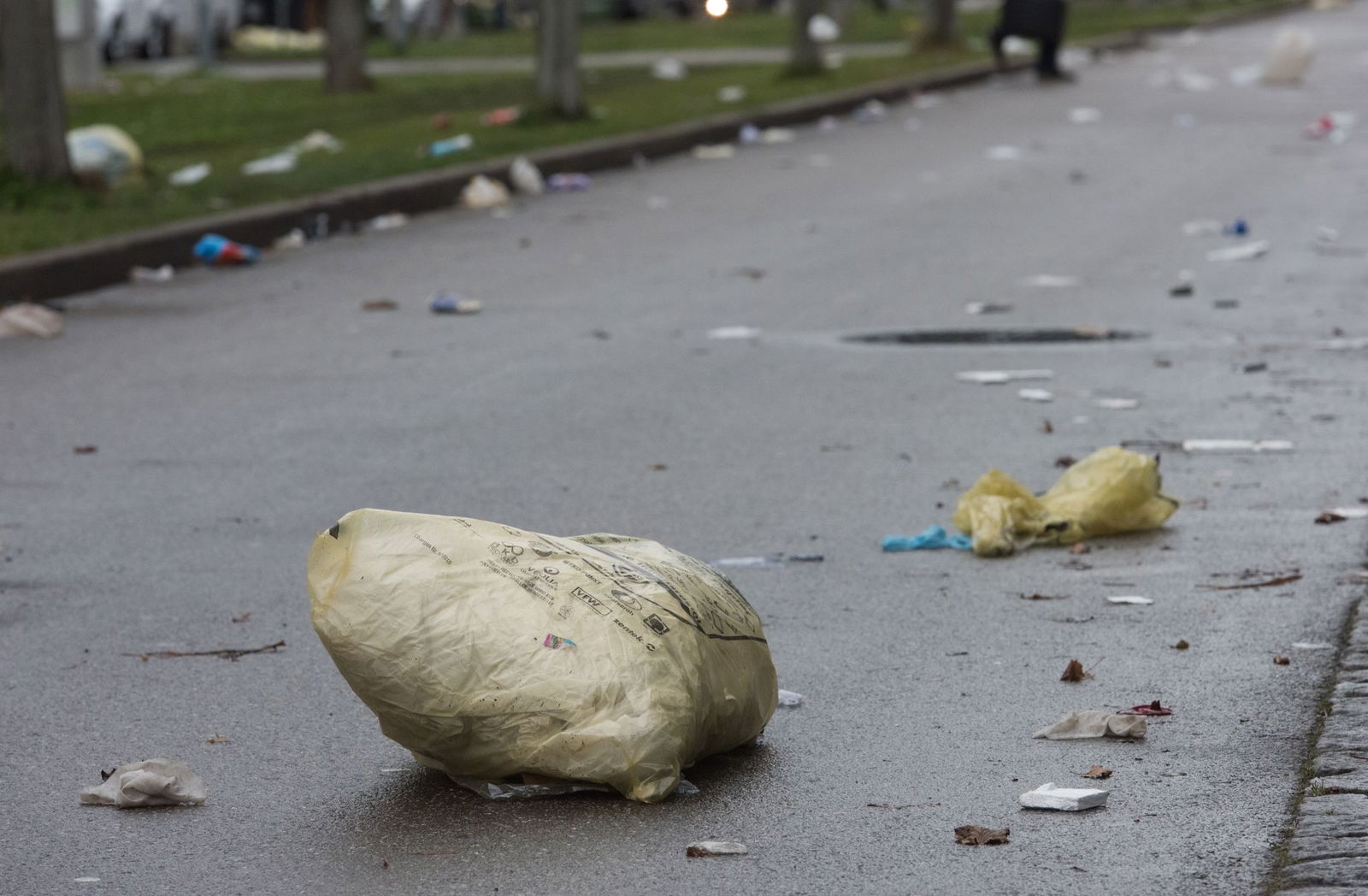 Nicht nur starke Winde, sondern auch Tiere sorgen mitunter dafür, dass der Inhalt der Gelben Säcke sich auf Straßen verteilt. (Archivbild) 