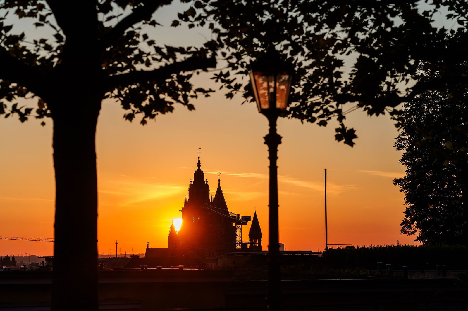 Temperaturen um die 30 Grad und viel Sonnenschein - das erwartet die Menschen in Rheinland-Pfalz und Saarland laut Deutschem Wetterdienst. (Symbolbild)