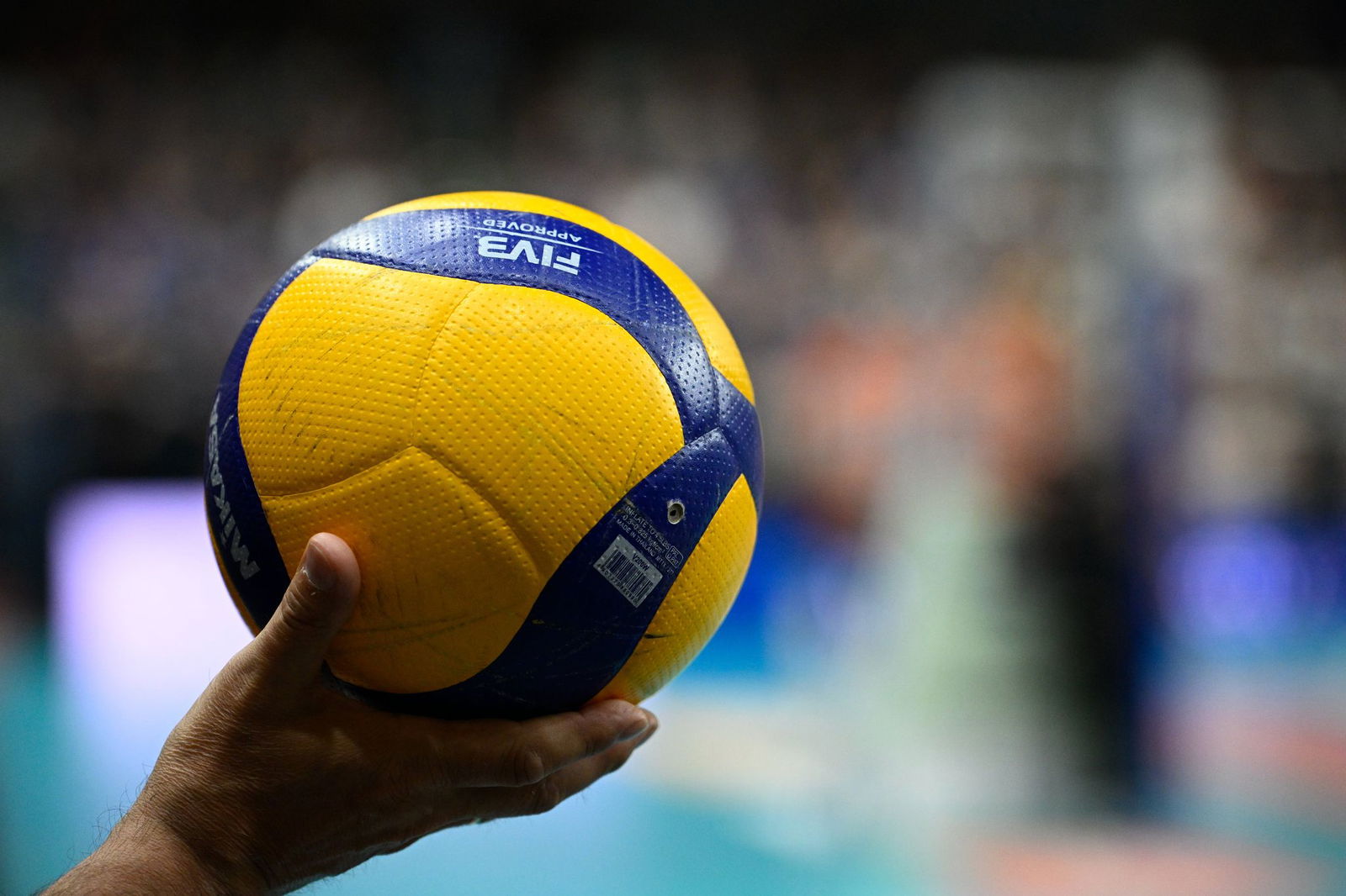 Die Barock Volleys MTV Ludwigsburg erhalten die Lizenz für die 1. Bundesliga.