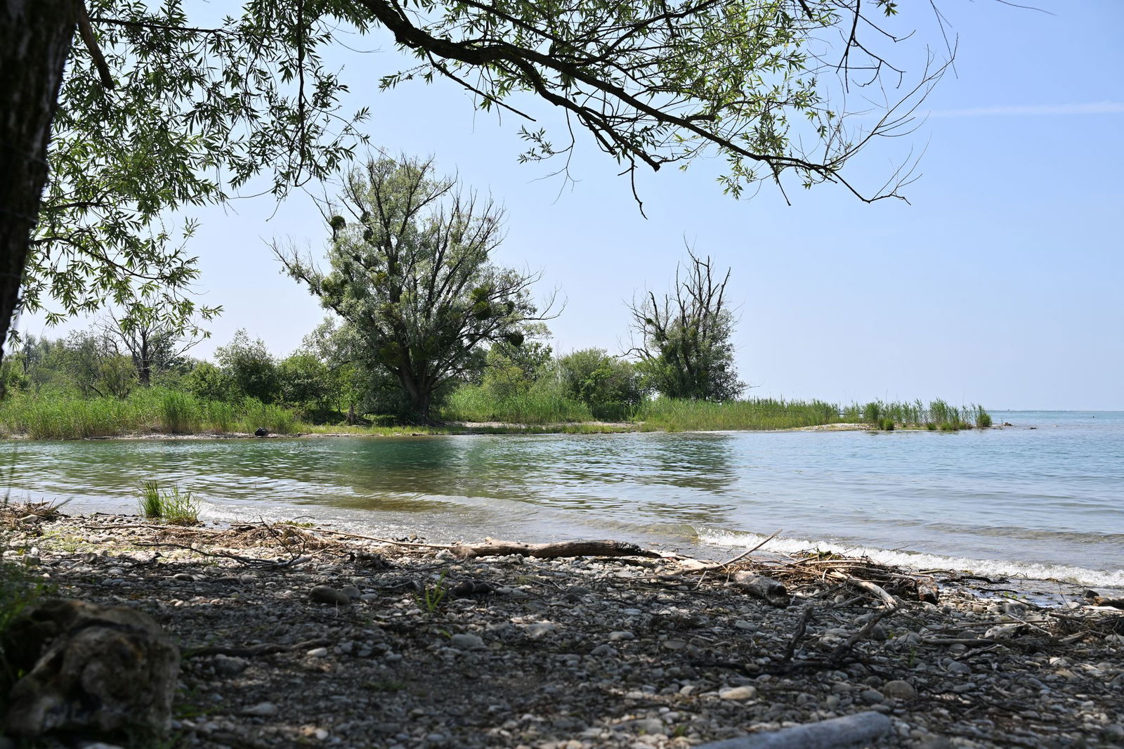 Für einen Abschnitt am Mehrerauer Seeufer hat die Stadt Bregenz eine Nacktbadeverordnung erlassen. 
