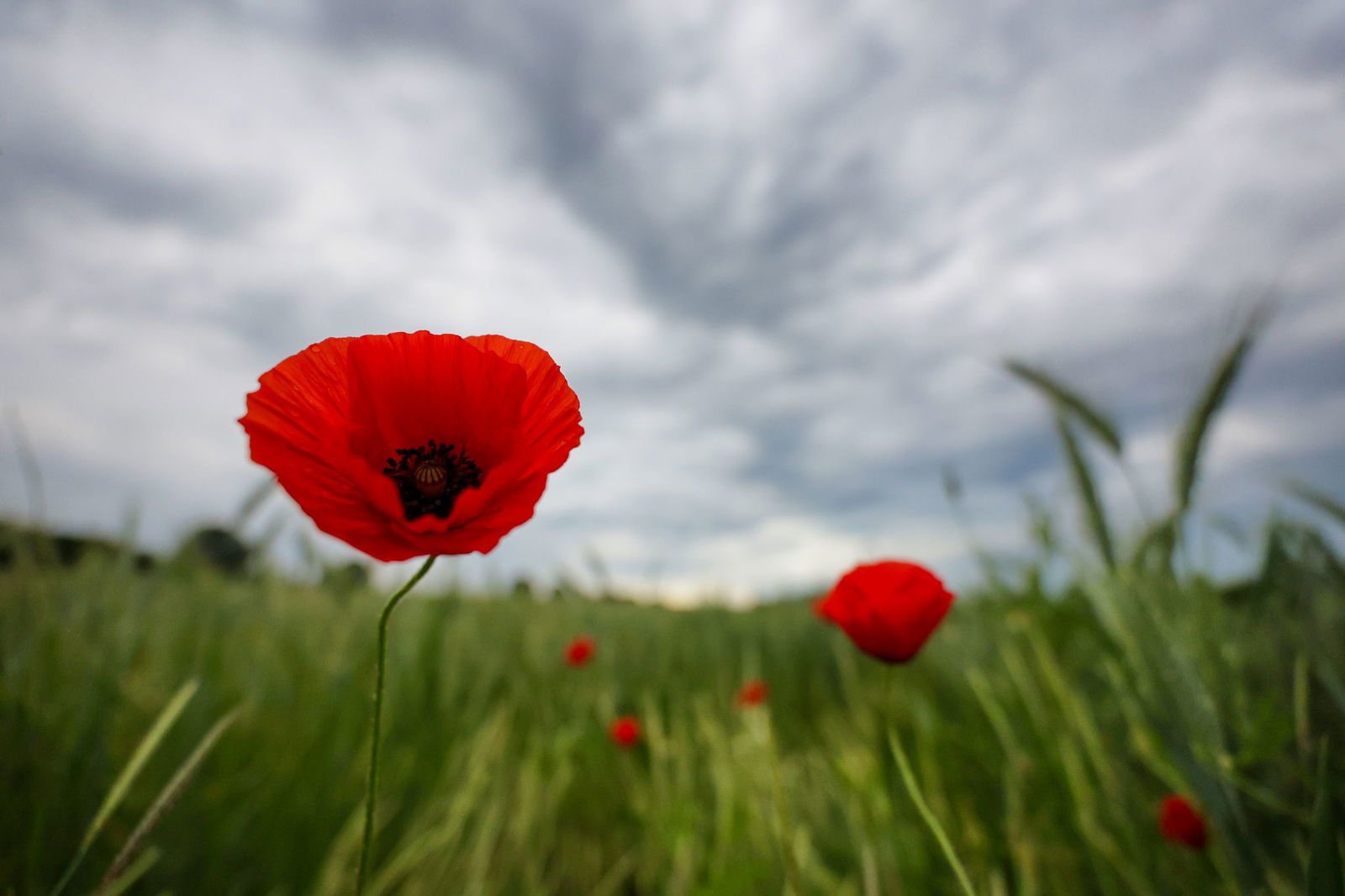 Auch in den kommenden Tagen bleibt es laut DWD im Südwesten wolkig.