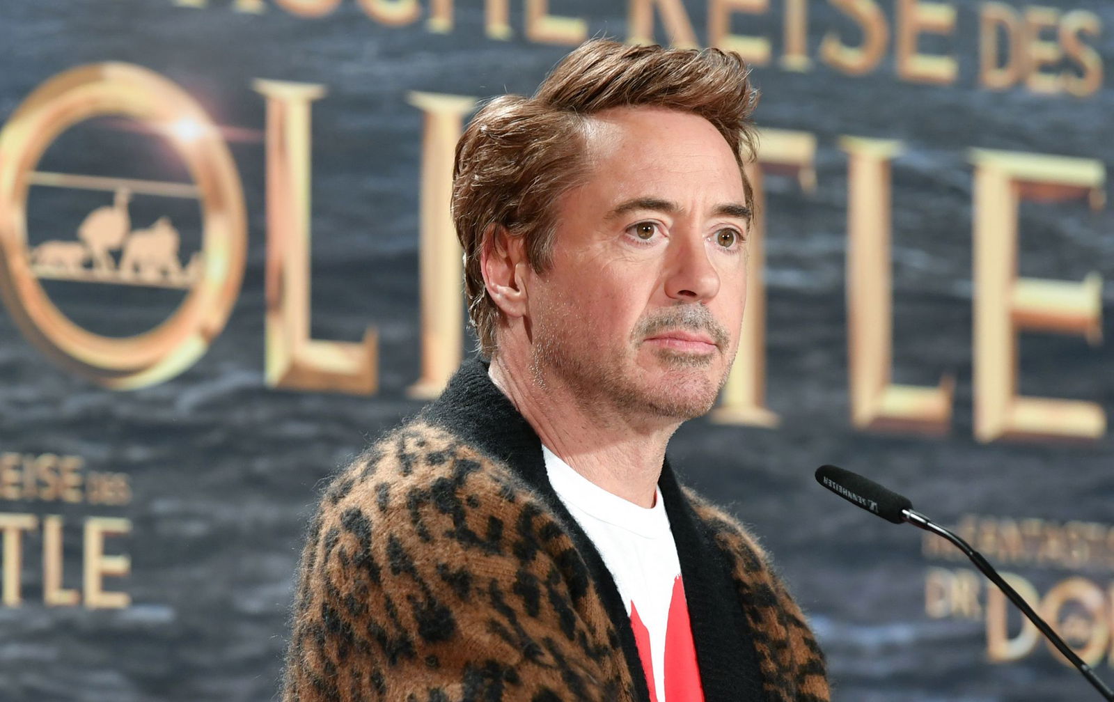 Flauschig: Robert Downey Jr. im Animal-Print-Jäckchen in Berlin im Januar 2020.
