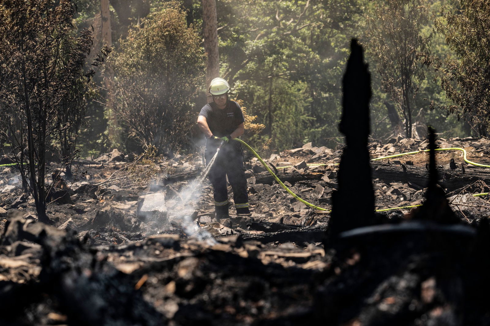 Auch in Rheinland-Pfalz und dem Saarland steigt die Waldbrandgefahr. 