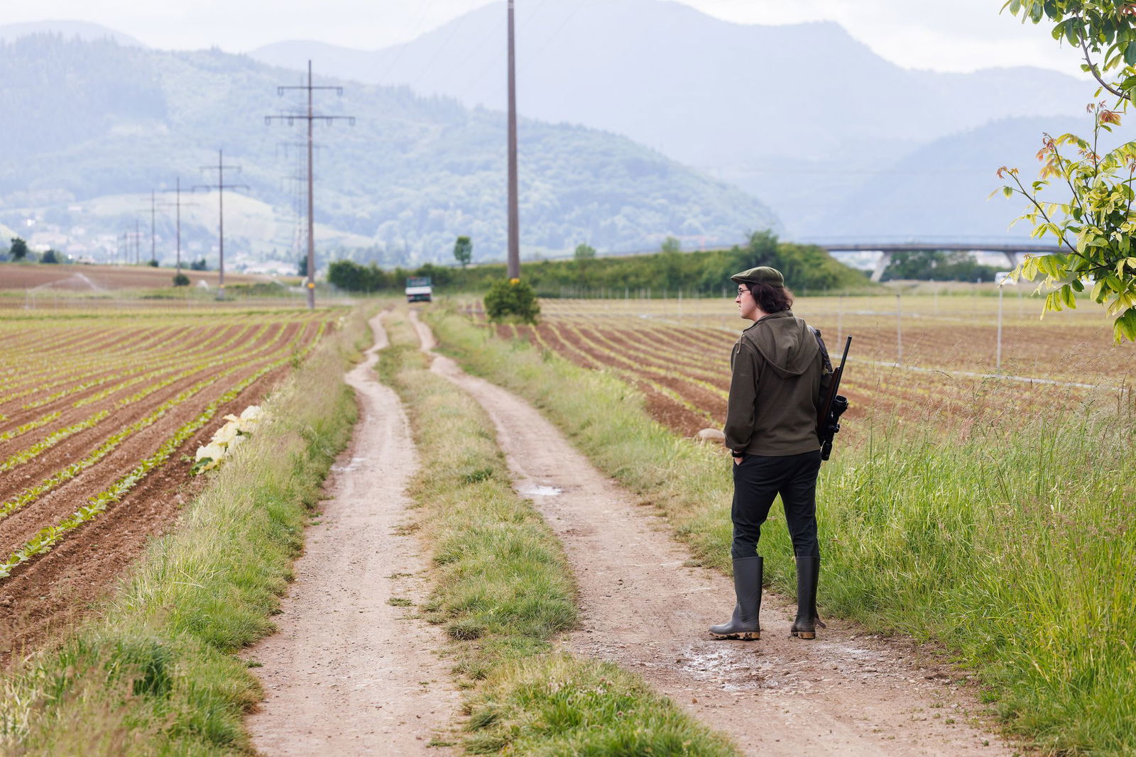 Der Abschuss der geschützten Saatkrähe ist an strikte Regeln gebunden. 