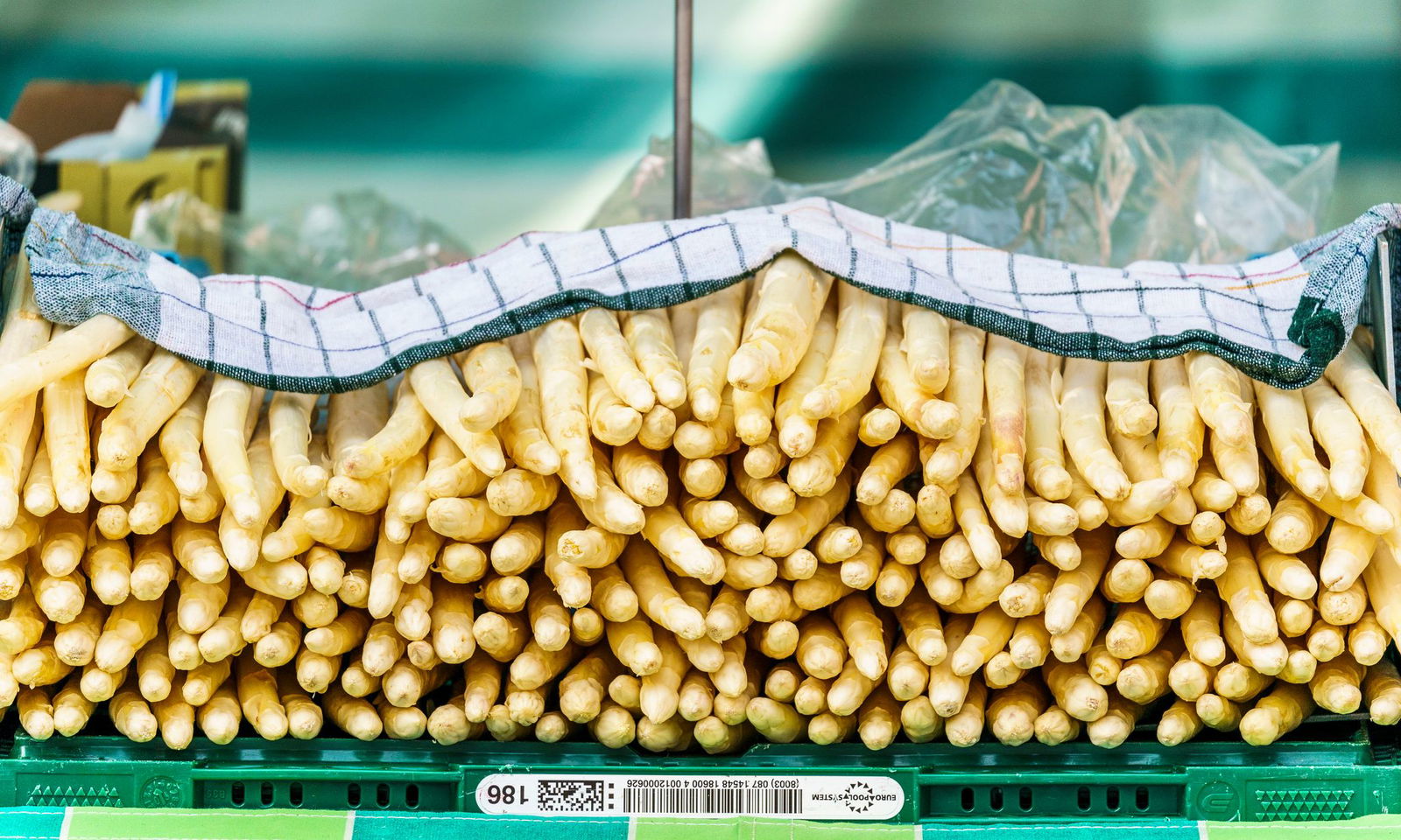 In Rheinland-Pfalz wird Spargel außer in der Vorderpfalz auch in Rheinhessen angebaut, in kleineren Mengen auch im Maifeld südwestlich von Koblenz. (Archivfoto)