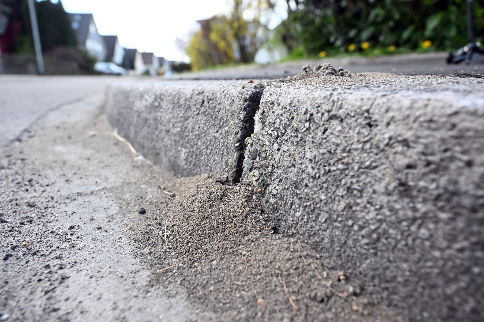Die Bundesländer pochen im Kampf gegen invasive Tierarten auf Handlungsspielraum. (Archivbild)
