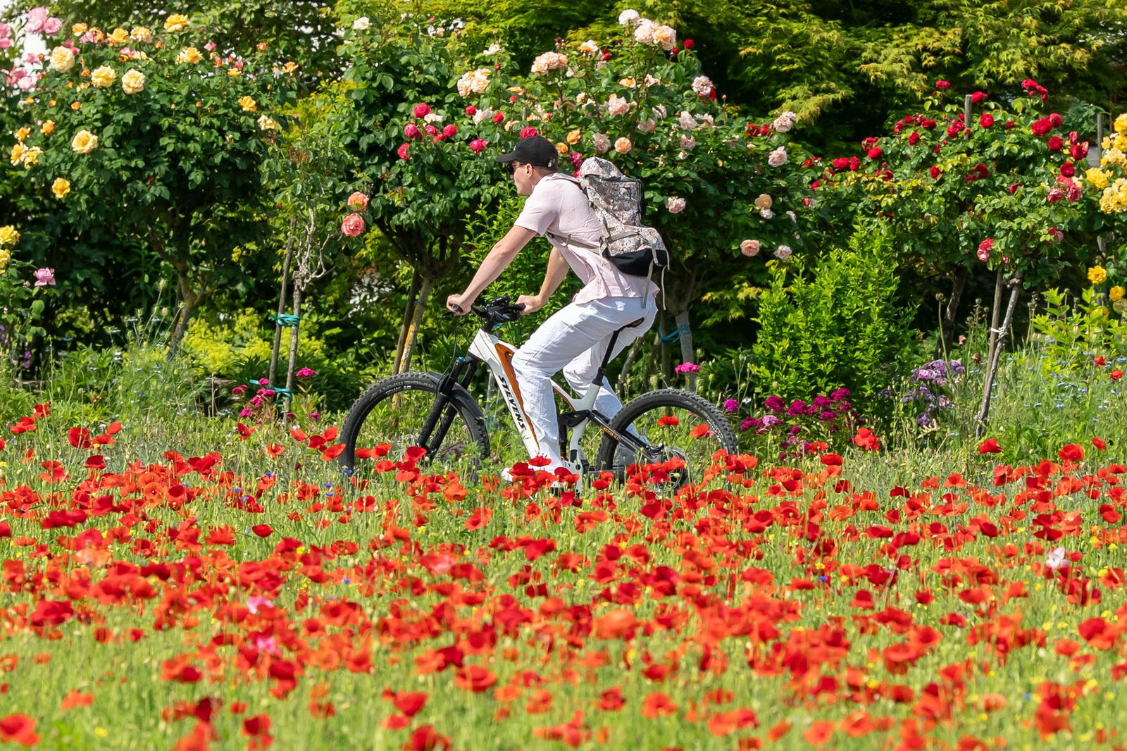 Es wird sehr warm in Baden-Württemberg. (Foto-Aktuell)