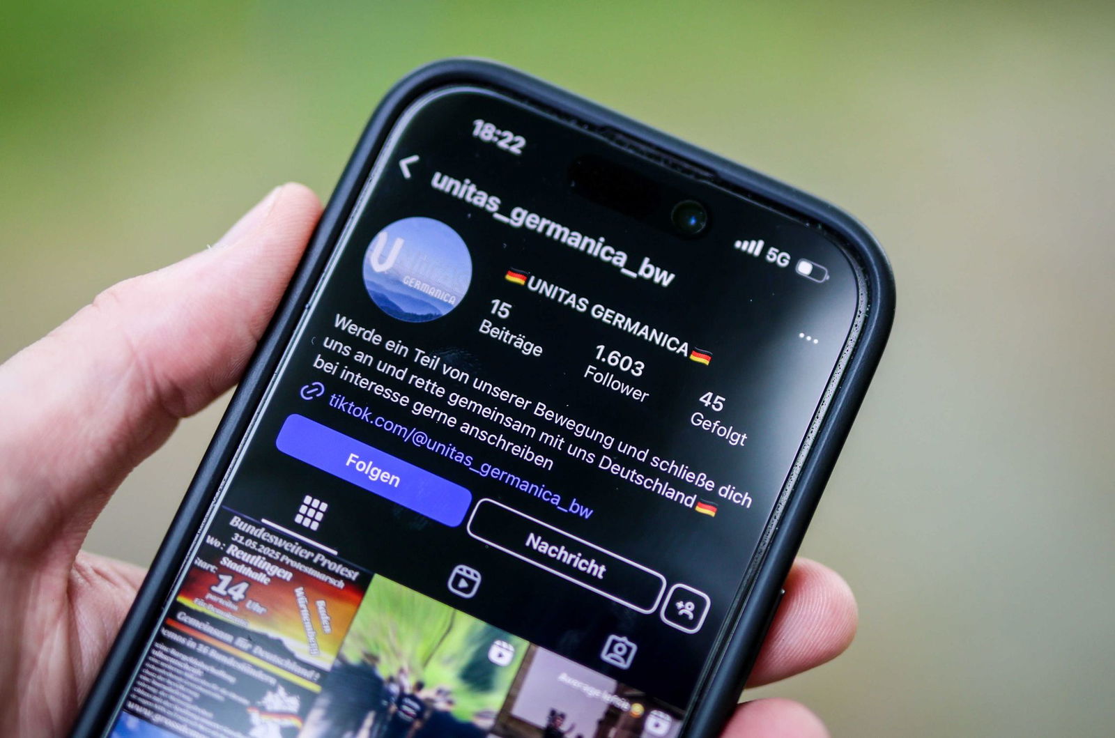 Die Accounts sprießen wie Pilze aus dem Boden.