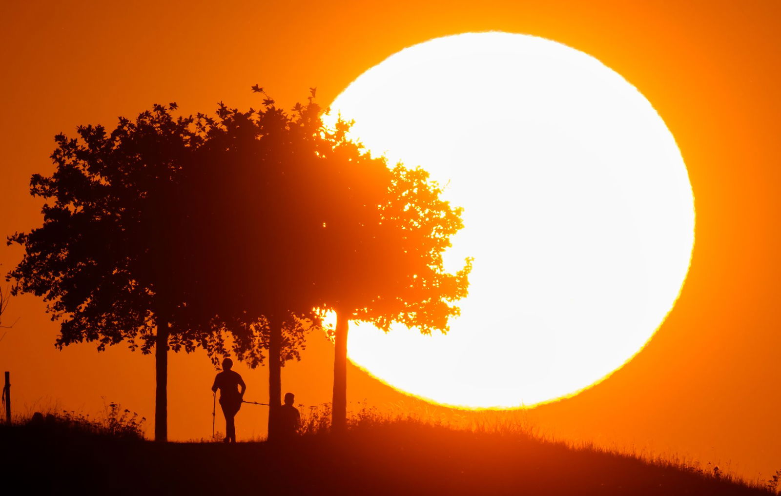 Hitze in Deutschland: Tage mit extremer Belastung werden häufiger.