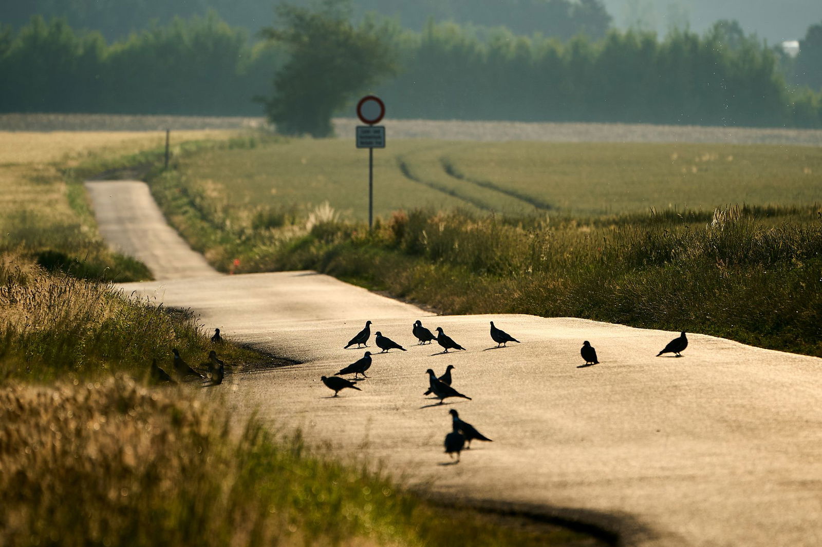 Bis zu 38 Grad können es am Mittwoch in Rheinland-Pfalz und dem Saarland werden.
