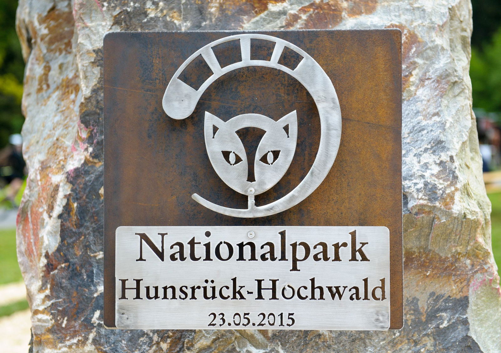 Die Wildkatze ist das Wappentier. (Archivbild)