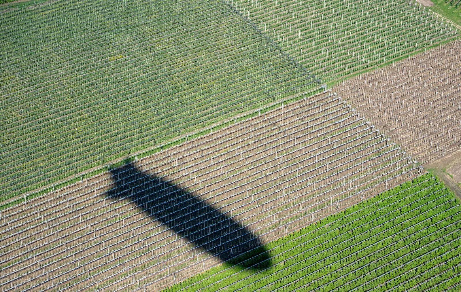 Vor 125 Jahren hob der erste Zeppelin ab. (Symbolbild)
