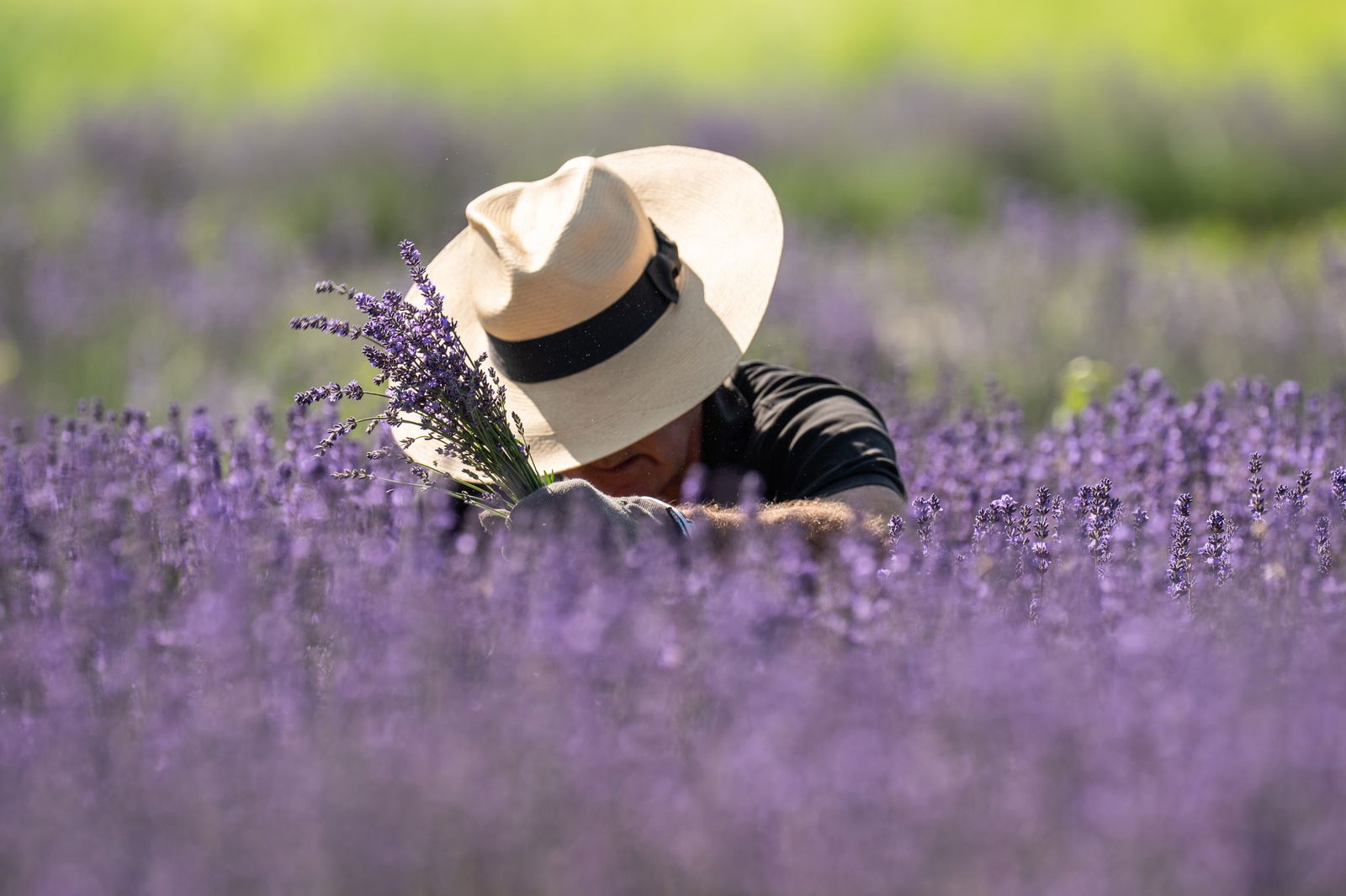 Bis zu 14 Stunden Sonnenschein am Sonntag. (Archivbild)