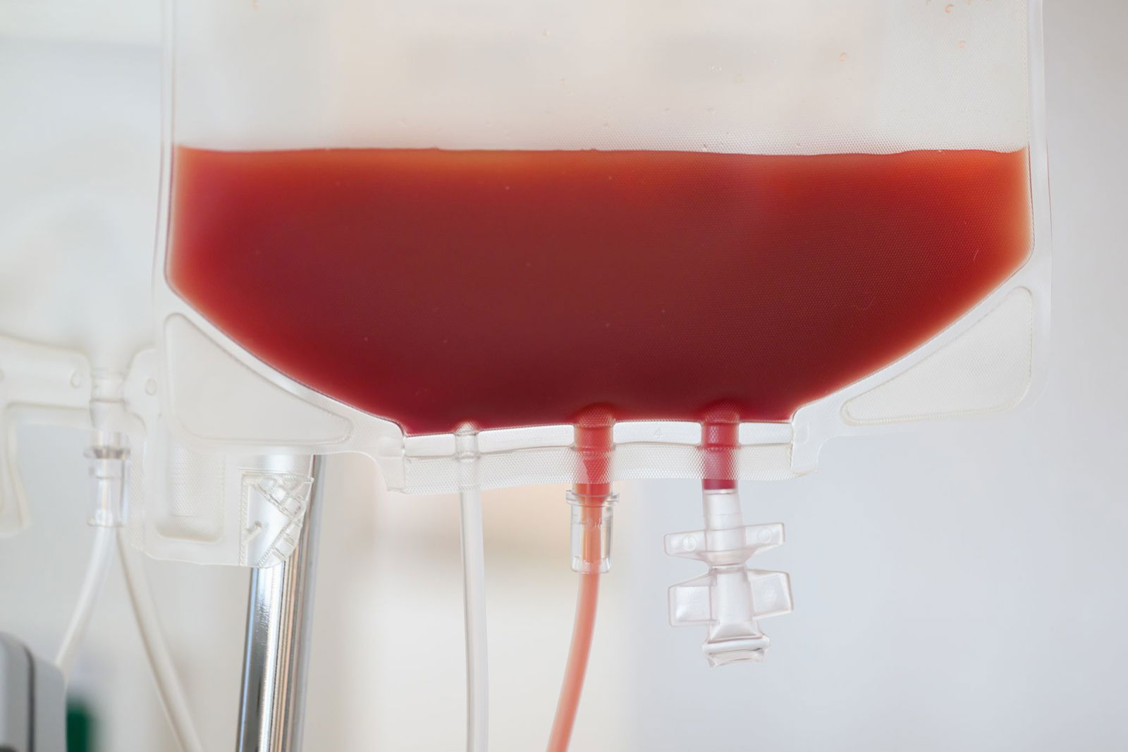 Viele Menschen haben in Deutschland Stammzellen gespendet. (Symbolbild)