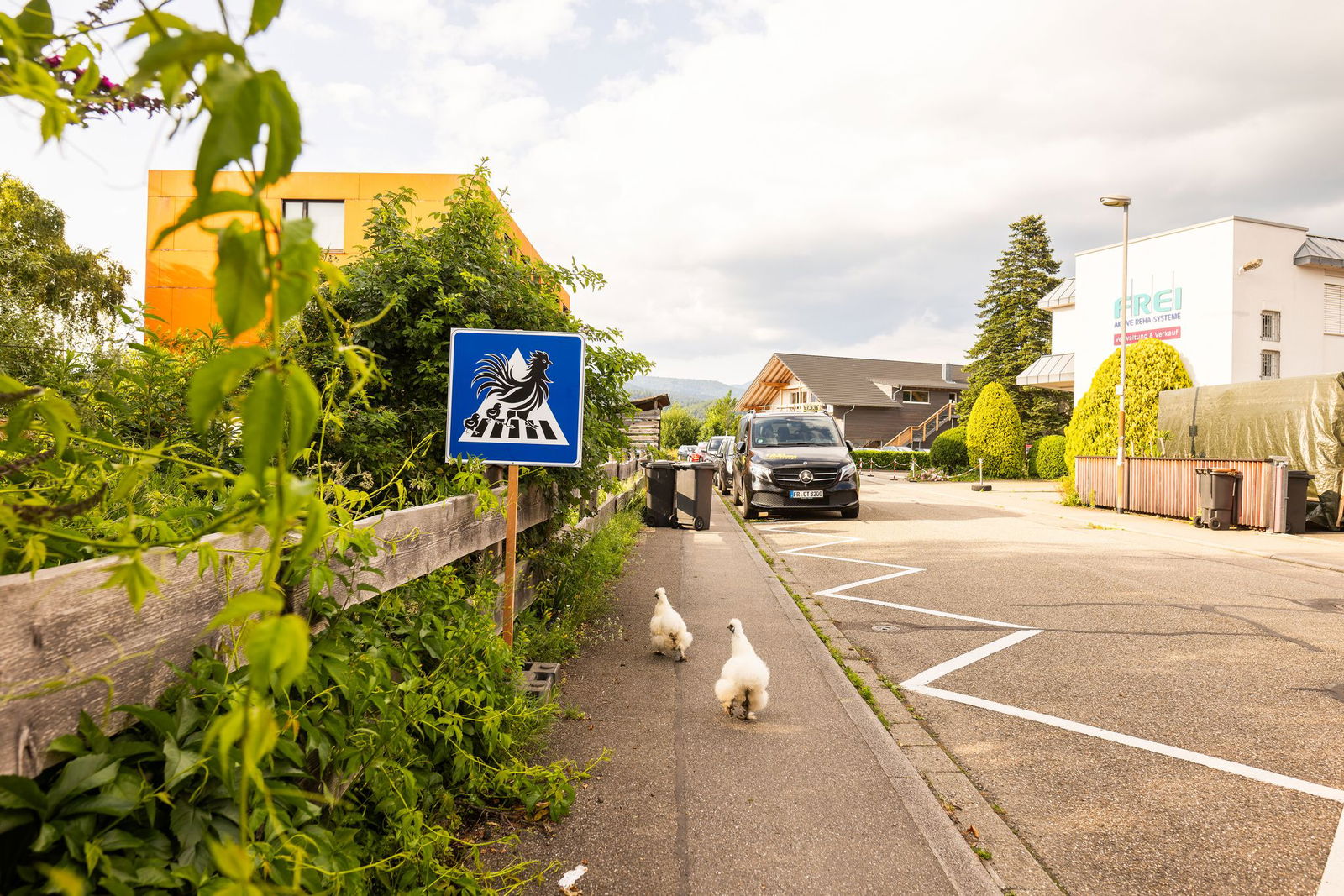 Die Schilder sind erlaubt, weil sie auf privatem Grund stehen. 