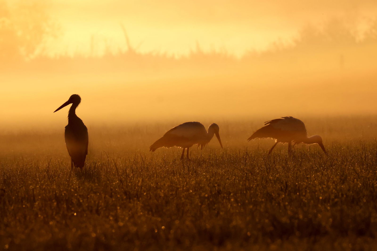 Zum letzten Ferientag wird es im Südwesten sehr heiß. 