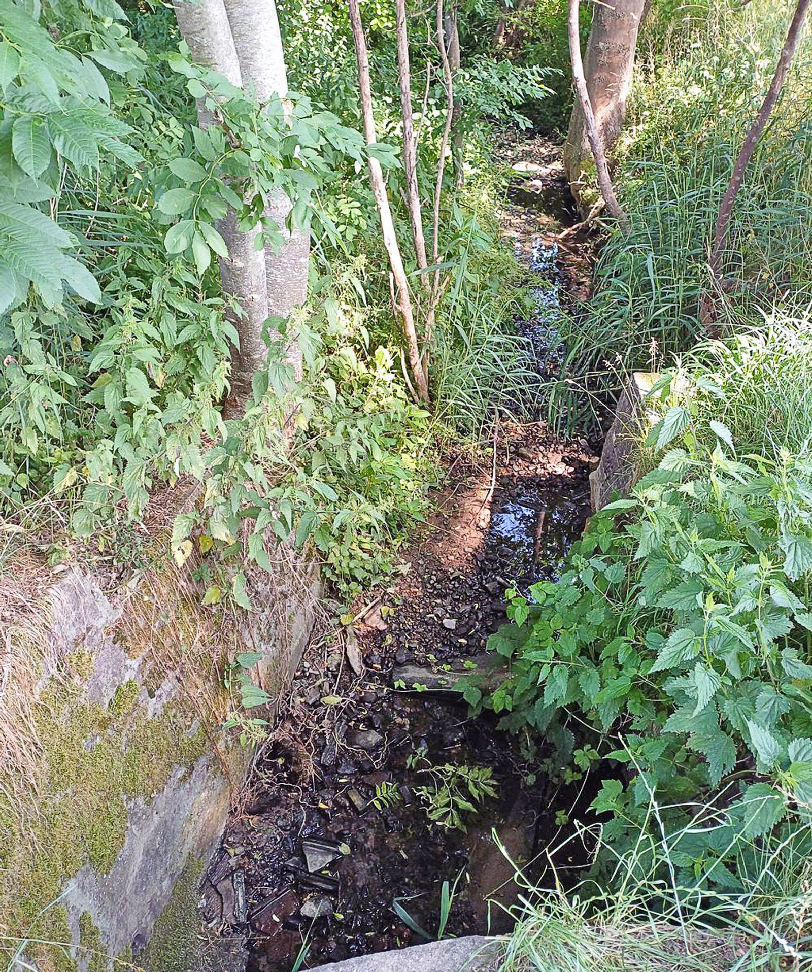 In vielen Bächen und Flüssen ist das Wasser sehr knapp. (Foto-Handout) 